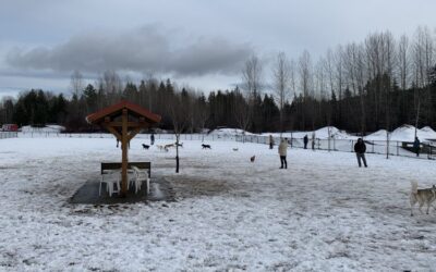 New Dog Park Coming to Comox in 2021